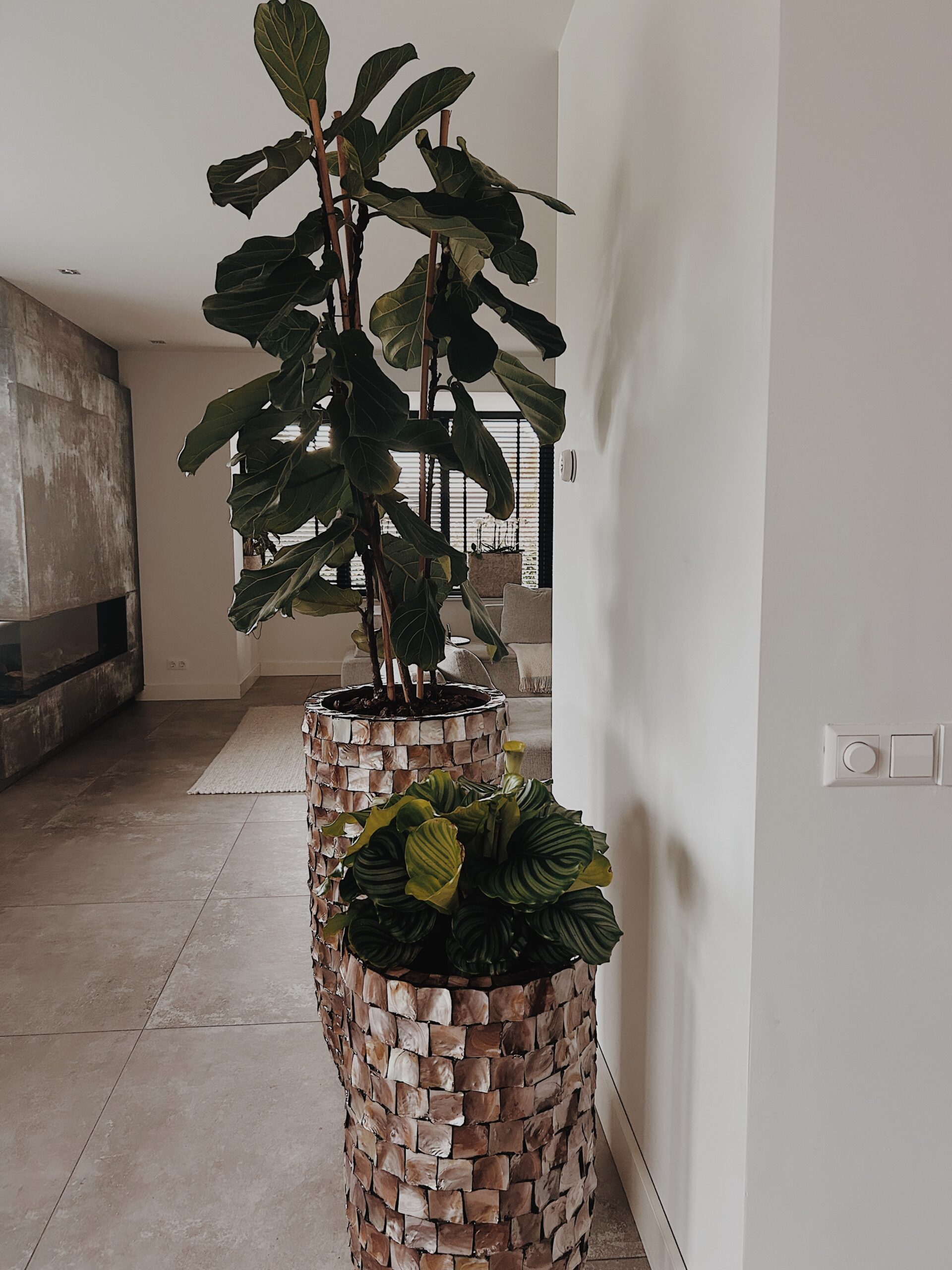 Processed with VSCO with m5 preset